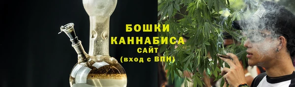 PSILOCYBIN Верхний Тагил