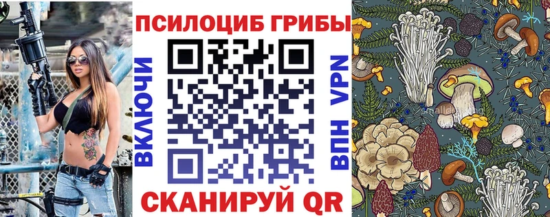 Псилоцибиновые грибы мицелий  купить  сайты  OMG маркетплейс  Сызрань 